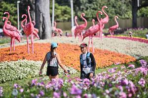 BIB: 
                            <button type="button" onclick="openModal(27794468)" class="btn btn-primary btn-sm float-right btn-popup" data-toggle="modal" data-target=".modal-high-quality">
                        <i class="fas fa-shopping-cart"></i> Add to Cart
                    </button>
                                            <button type="button" onclick="isThisMe(27794468, true)" class="btn btn-success btn-sm float-right btn-popup btn-isme hidden" data-toggle="tooltip" data-placement="bottom" title="นี่คือรูปของคุณใช่ไหม คลิกที่นี่เพื่อเอาเข้าอัลบั้ม">
                        <i class="fas fa-plus"></i> Add to album
                    </button>
                    <button type="button" onclick="isThisMe(27794468, false)" class="btn btn-warning btn-sm float-right btn-popup btn-isnotme hidden">
                        <i class="fas fa-ban"></i> Remove from album
                    </button>